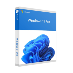 microsoft-windows-11-professional